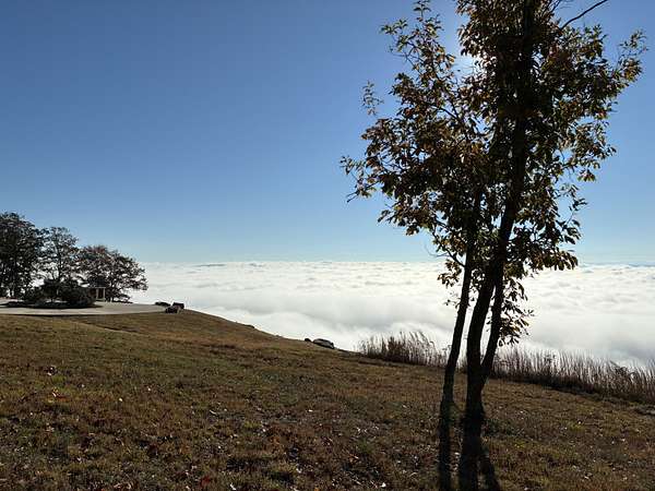 2 Acres of Residential Land for Sale in Jasper, Tennessee