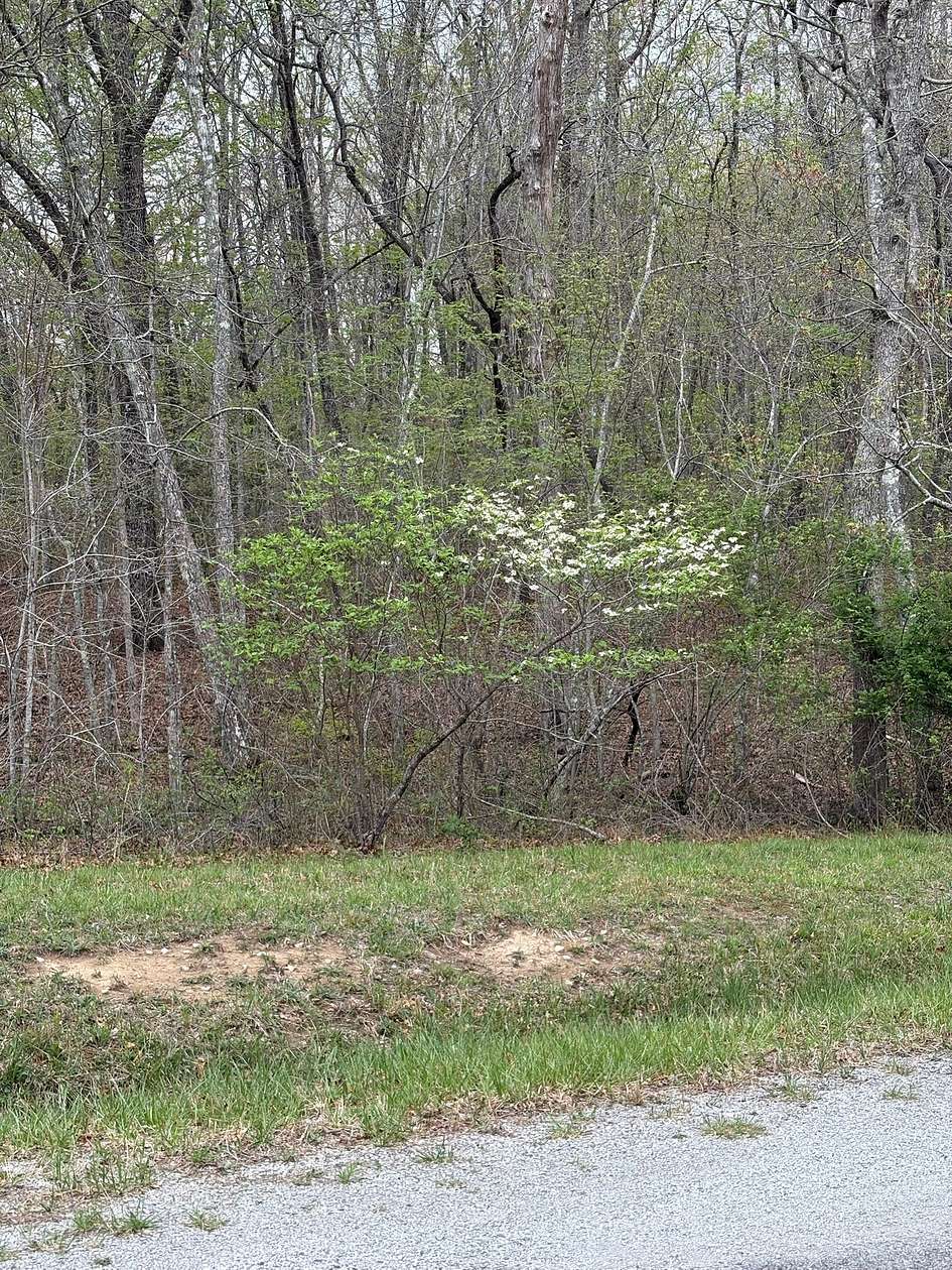 0.99 Acres of Residential Land for Sale in Monterey, Tennessee