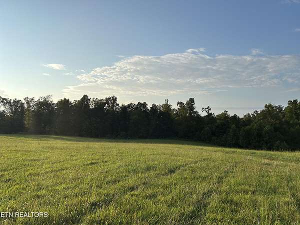 19 Acres of Land for Sale in Deer Lodge, Tennessee