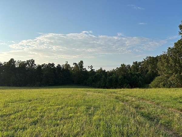 19 Acres of Land for Sale in Deer Lodge, Tennessee