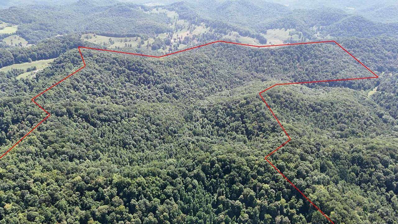 386 Acres of Recreational Land & Farm for Sale in Frametown, West Virginia