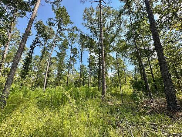 185 Acres of Recreational Land for Sale in Terry, Mississippi