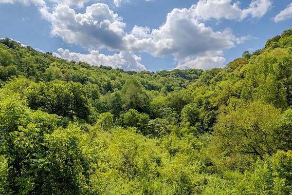 53.2 Acres of Recreational & Residential Land for Sale in Buffalo Valley, Tennessee
