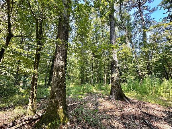 164 Acres of Recreational Land & Farm for Sale in Terry, Mississippi