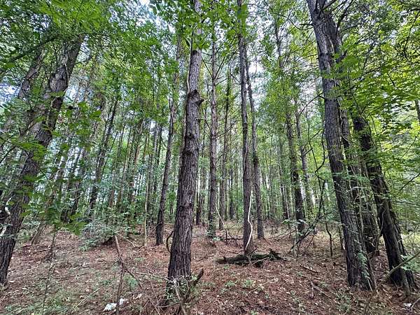 81 Acres of Recreational Land for Sale in Terry, Mississippi