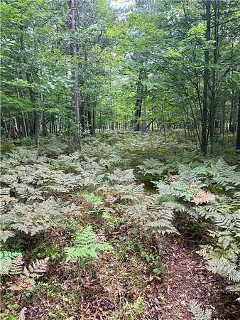 0.58 Acres of Residential Land for Sale in Danbury, Wisconsin