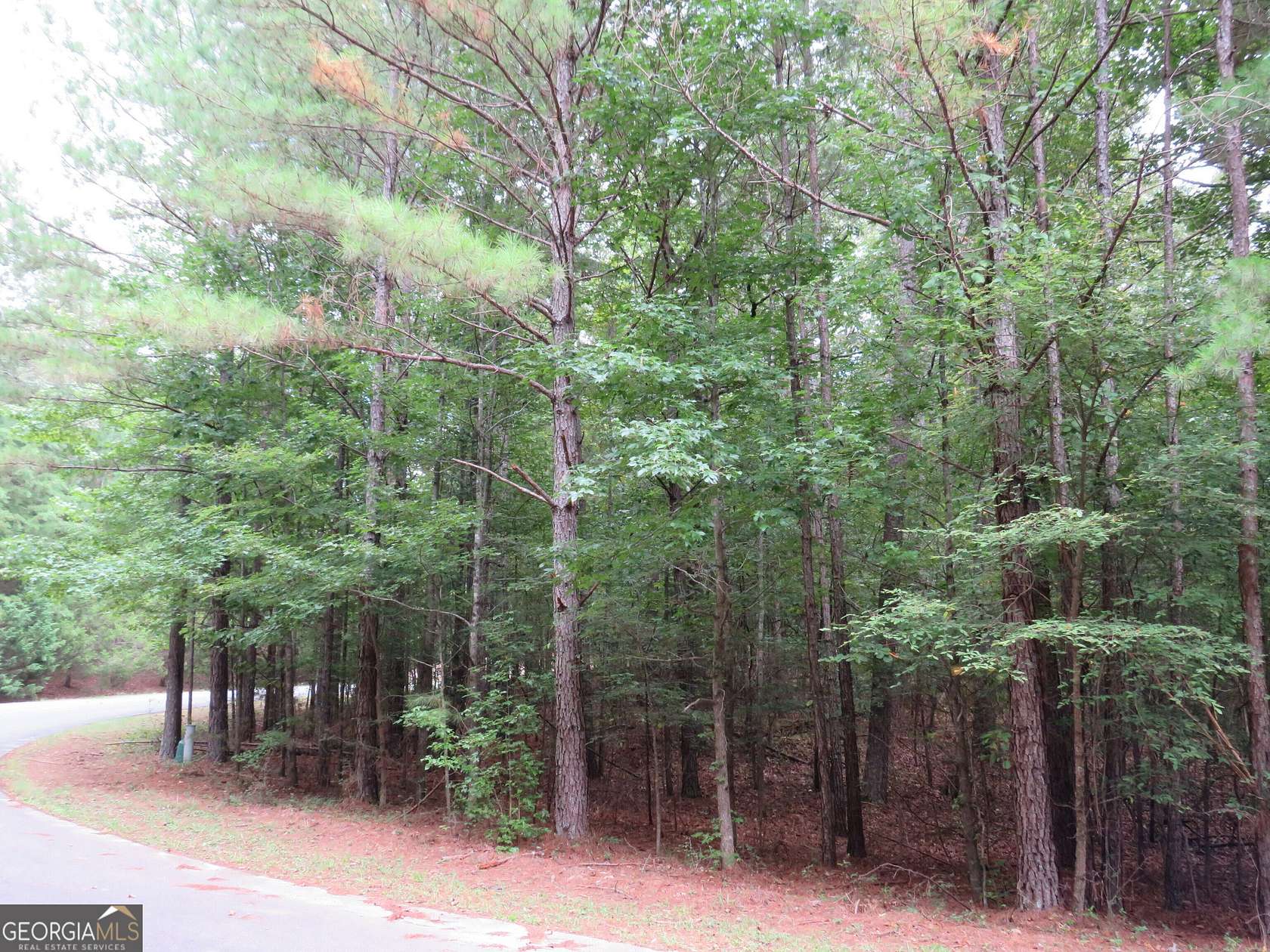 1 Acre of Residential Land for Sale in Cedartown, Georgia