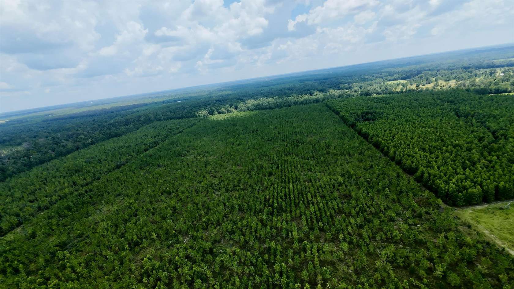 40 Acres of Recreational Land for Sale in Jasper, Florida