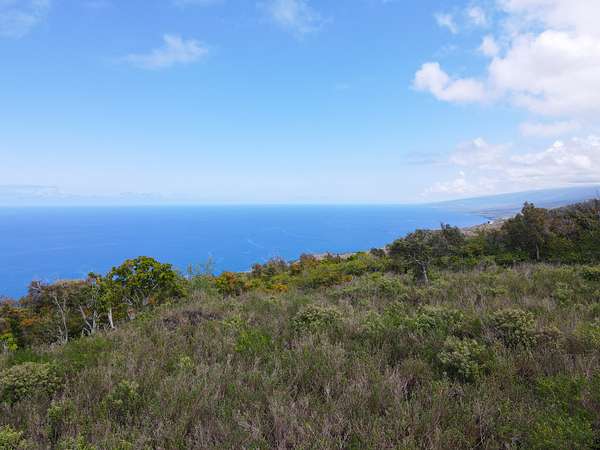 5 Acres of Residential Land for Sale in Captain Cook, Hawaii