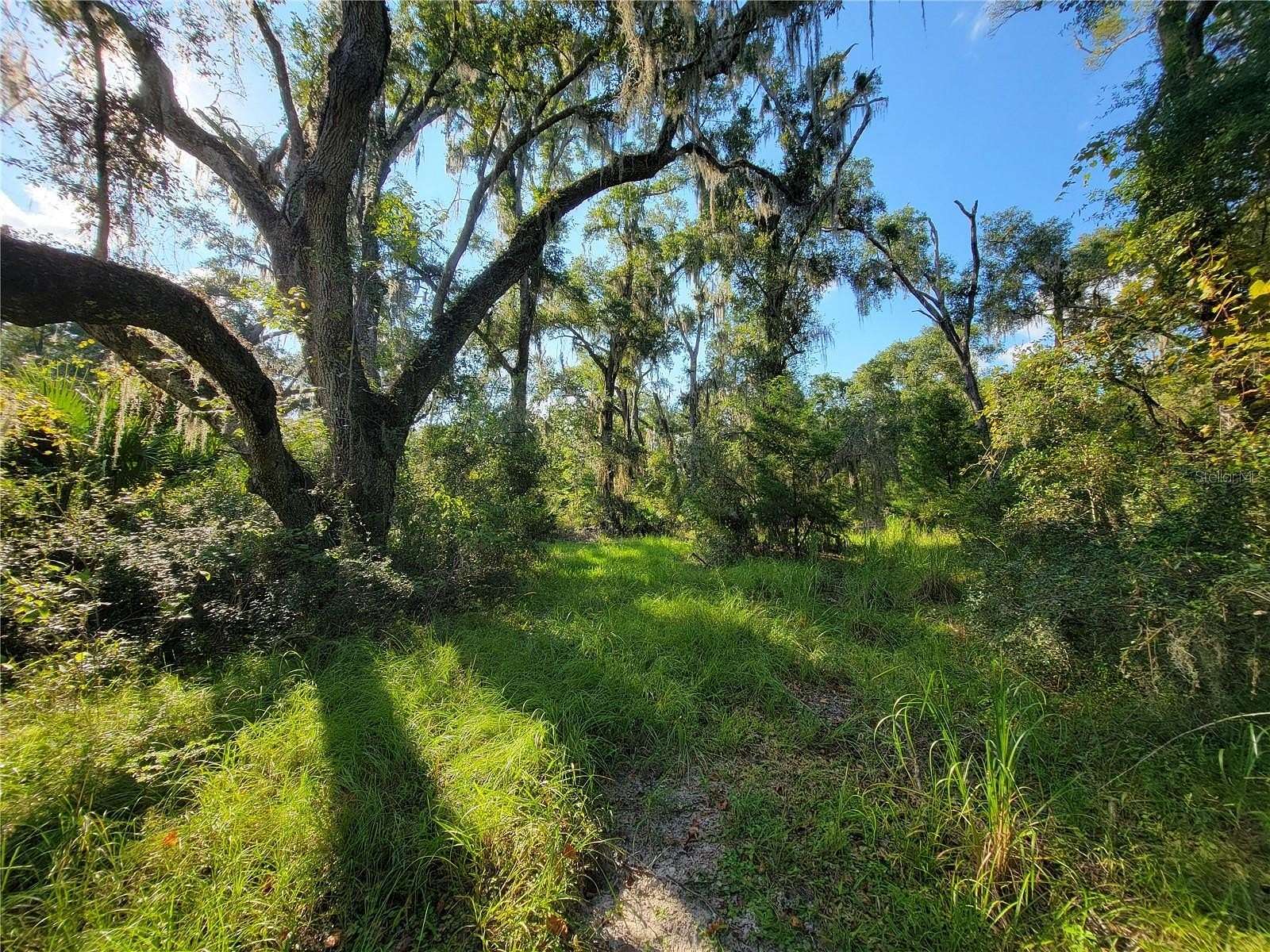 8.26 Acres of Residential Land for Sale in Old Town, Florida