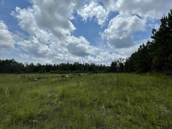 40 Acres of Agricultural Land for Sale in Sopchoppy, Florida