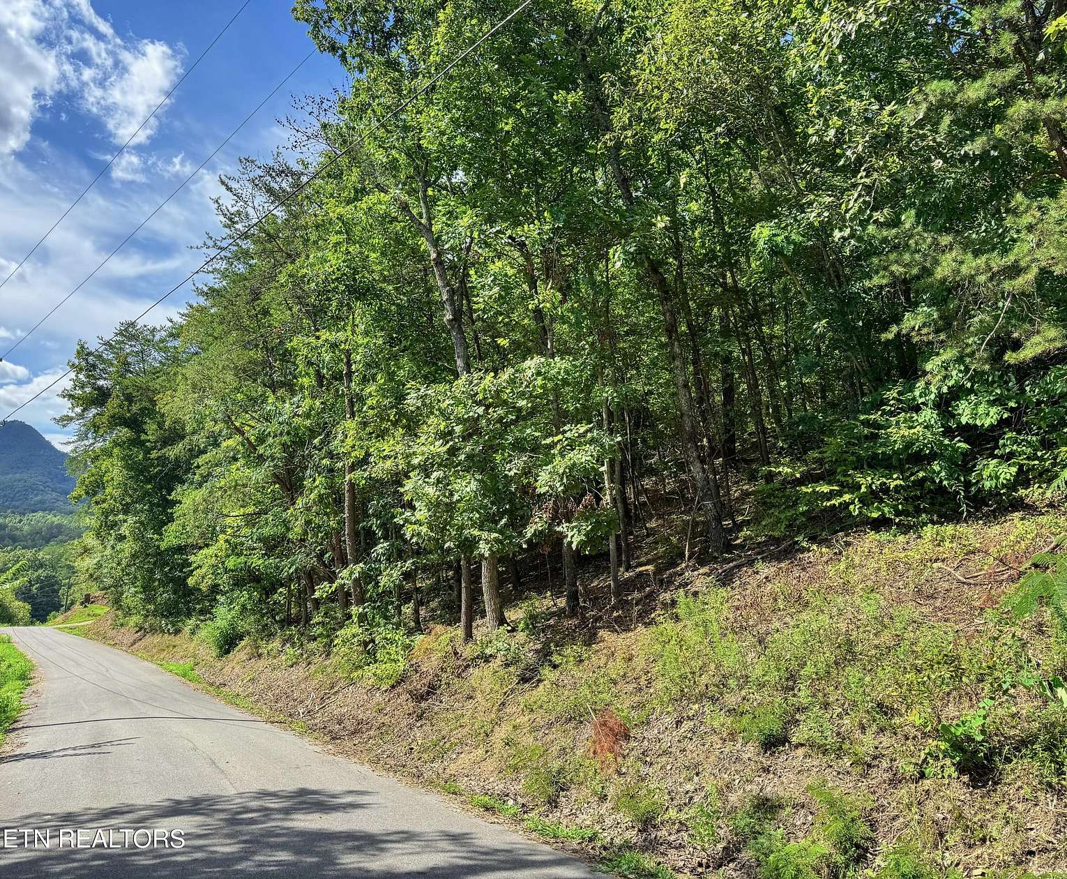 4.52 Acres of Residential Land for Sale in Sevierville, Tennessee