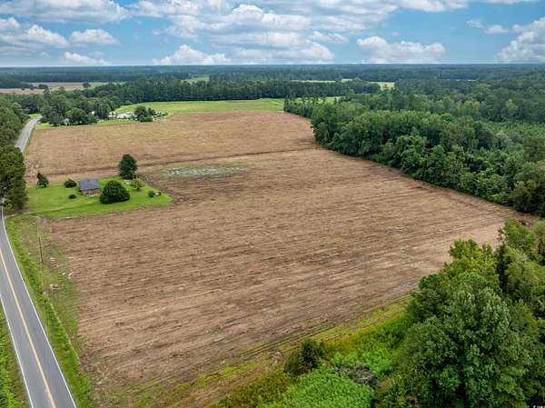 8.1 Acres of Residential Land for Sale in Nichols, South Carolina