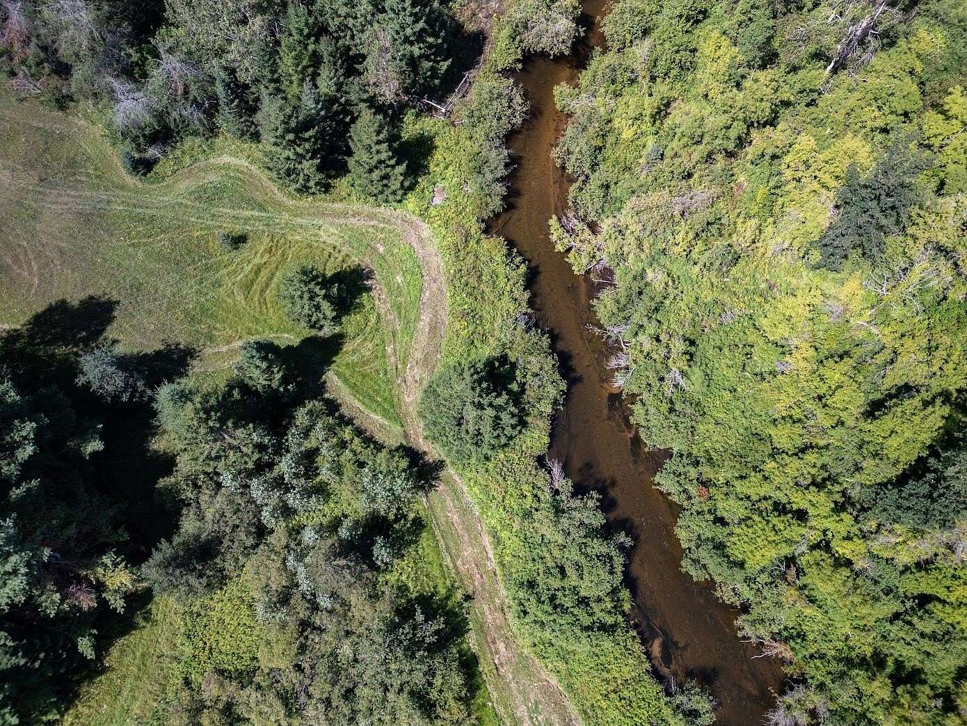 10 Acres of Residential Land for Sale in Wolverine, Michigan