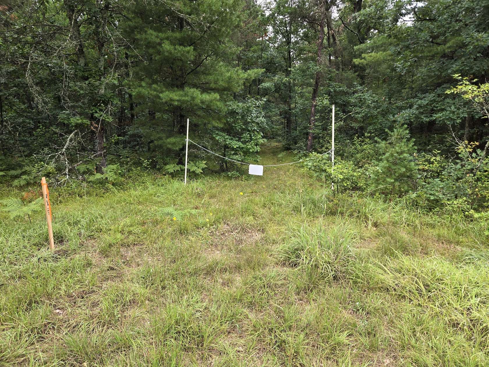 2.5 Acres of Land for Sale in Idlewild, Michigan
