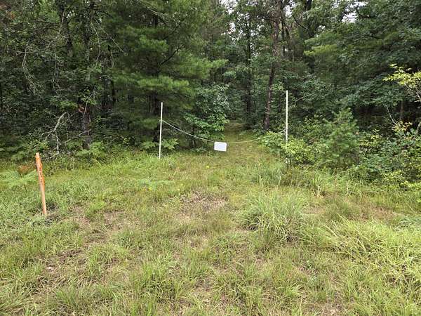2.5 Acres of Land for Sale in Idlewild, Michigan