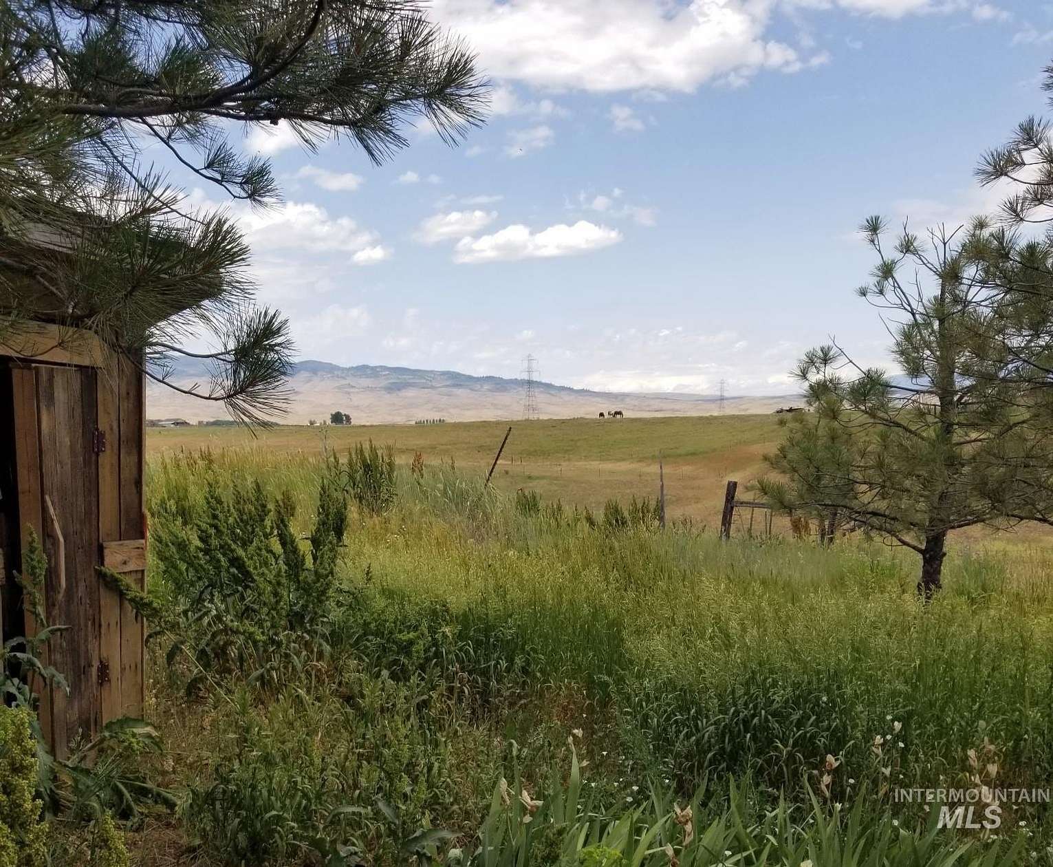 5.35 Acres of Residential Land for Sale in Midvale, Idaho