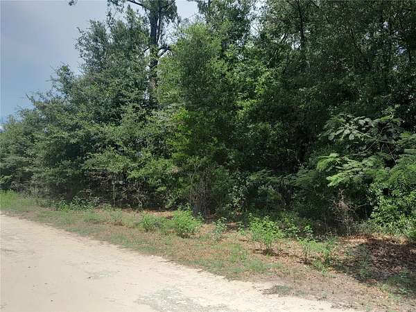 0.3 Acres of Land for Sale in Morriston, Florida