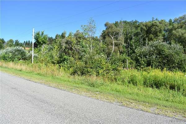 9.43 Acres of Land for Sale in Otto, New York