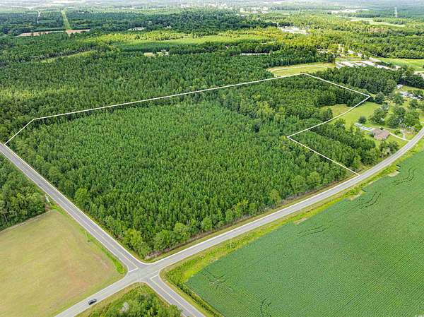 24.1 Acres of Recreational Land for Sale in Hemingway, South Carolina