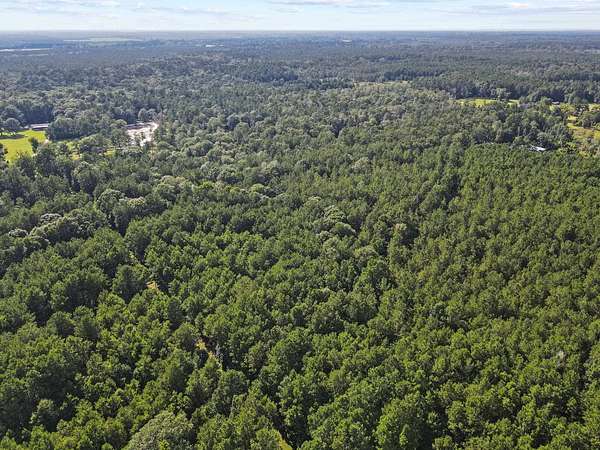 15 Acres of Land for Sale in Kountze, Texas