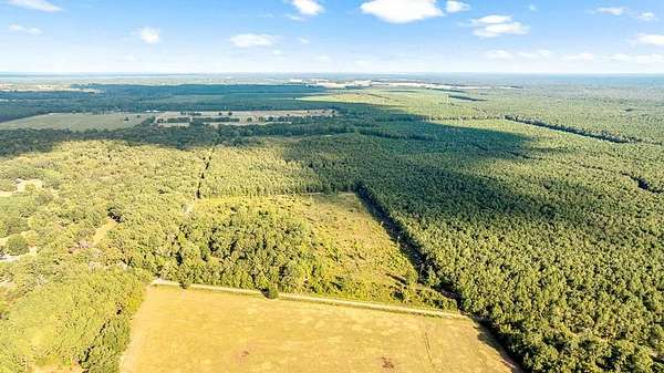 63 Acres of Recreational Land for Sale in Simms, Texas