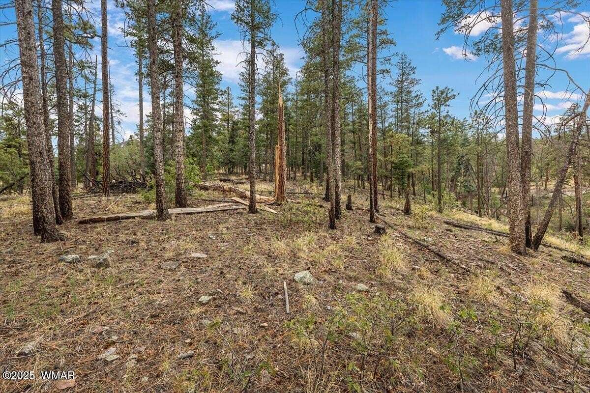 0.81 Acres of Residential Land for Sale in Alpine, Arizona