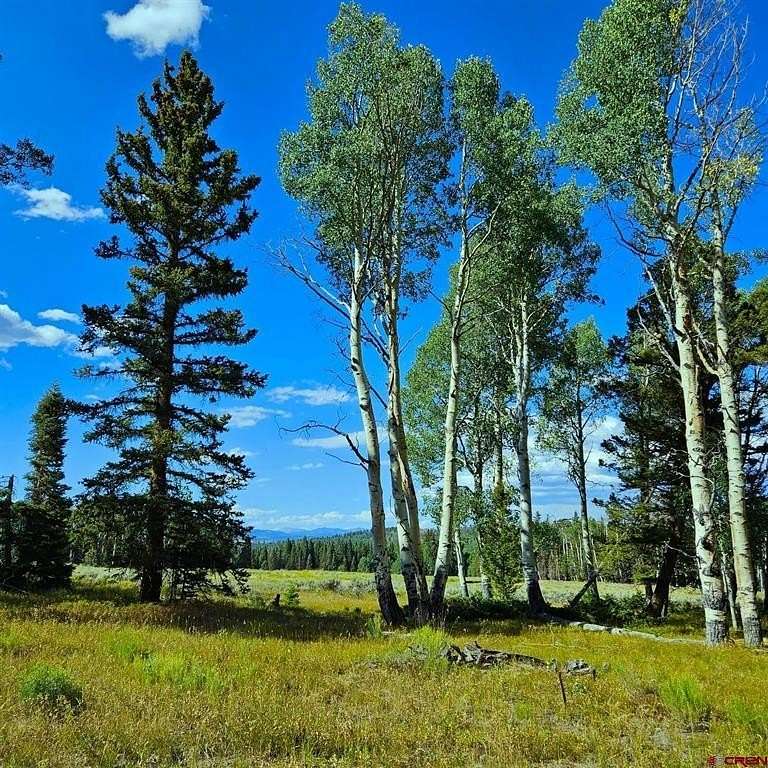 1 Acre of Land for Sale in Cimarron, Colorado