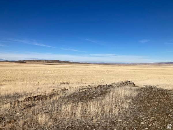 160 Acres of Agricultural Land for Sale in Fillmore, Utah