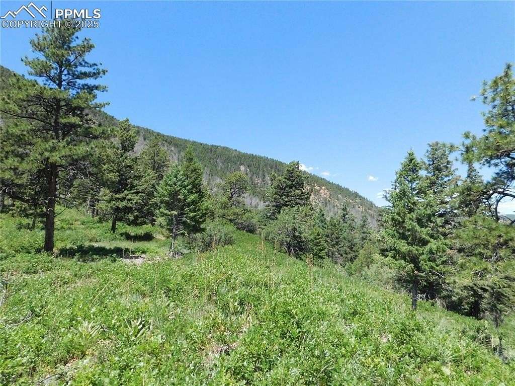 1 Acre of Land for Sale in Larkspur, Colorado