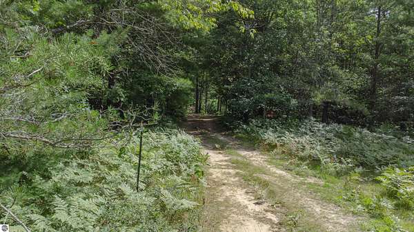 10.1 Acres of Recreational Land for Sale in Fife Lake, Michigan