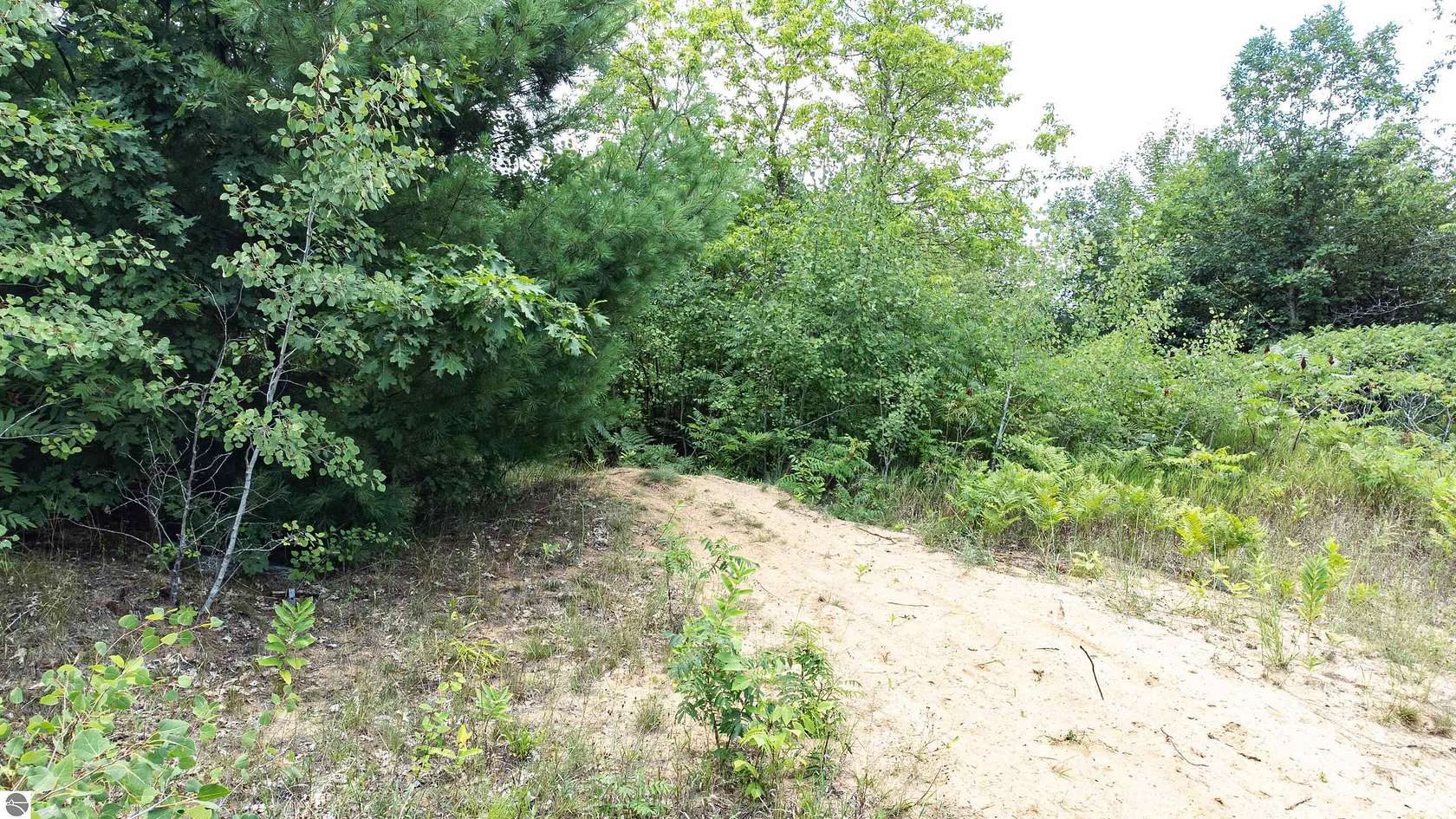 18 Acres of Mixed-Use Land for Sale in Cadillac, Michigan