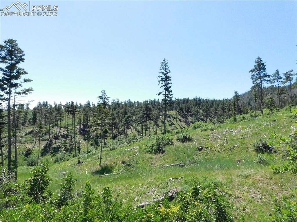 1 Acre of Land for Sale in Larkspur, Colorado