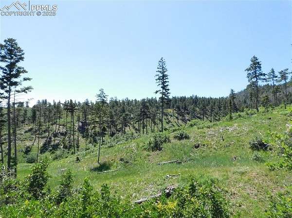 1 Acre of Land for Sale in Larkspur, Colorado
