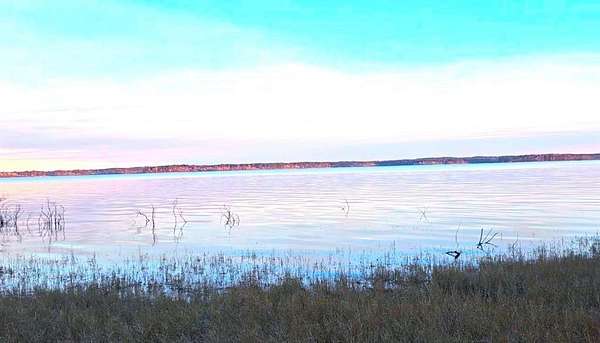 4.5 Acres of Residential Land for Sale in Bronson, Texas