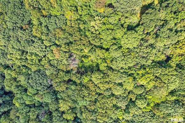 5.5 Acres of Land for Sale in Chillicothe, Illinois