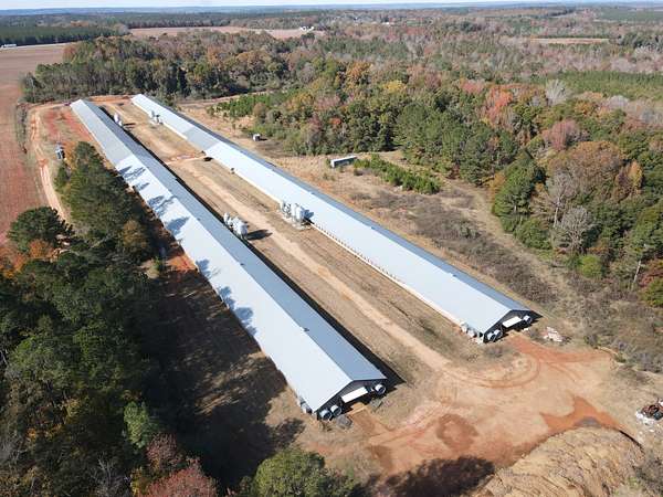 25 Acres of Agricultural Land for Sale in Abbeville, Alabama