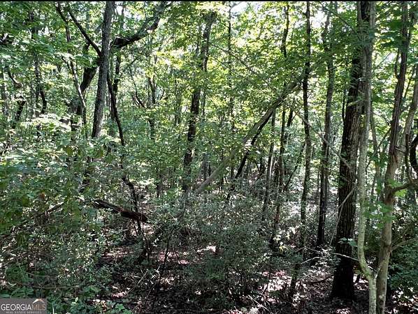 2.14 Acres of Residential Land for Sale in Clarkesville, Georgia