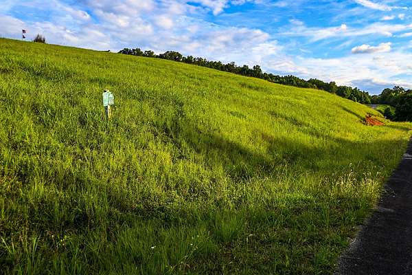 0.57 Acres of Residential Land for Sale in Decatur, Tennessee