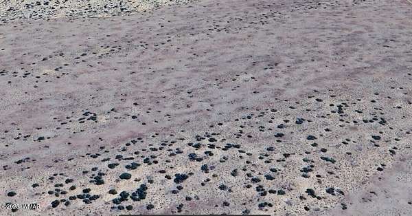 15 Acres of Recreational Land for Sale in Adamana, Arizona