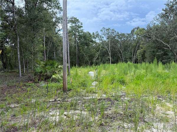 0.23 Acres of Residential Land for Sale in Interlachen, Florida