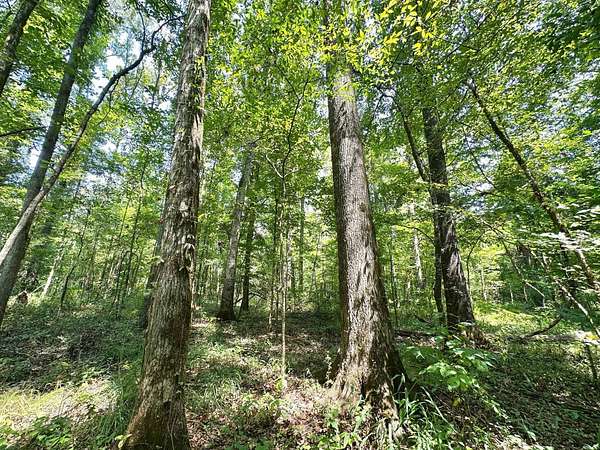 170 Acres of Recreational Land for Sale in Bolton, Mississippi
