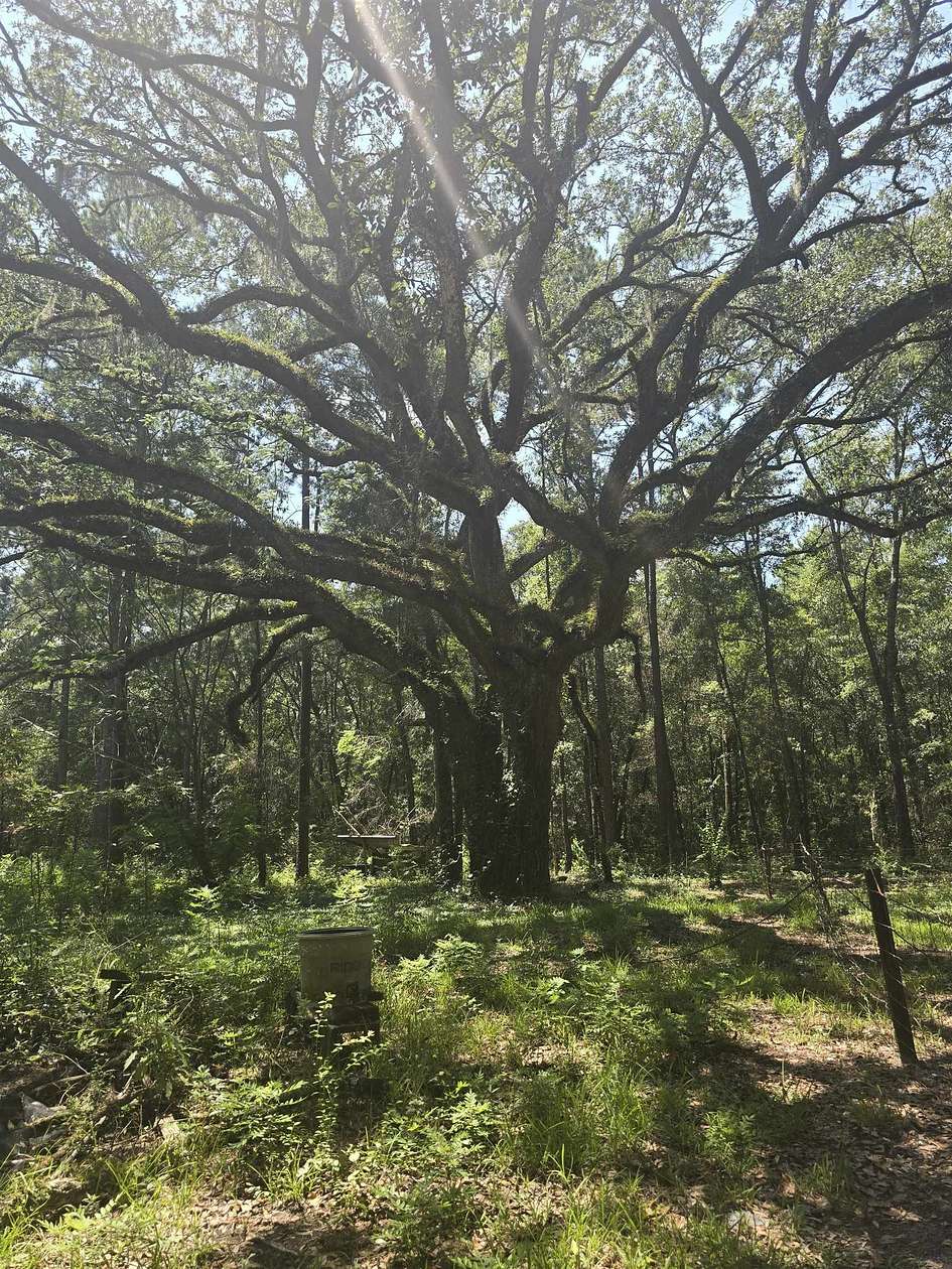 4 Acres of Residential Land with Home for Sale in Havana, Florida