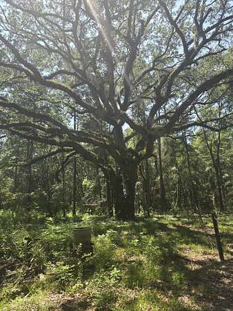 4 Acres of Residential Land with Home for Sale in Havana, Florida