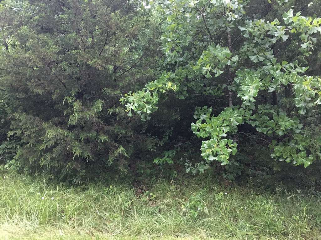 0.72 Acres of Residential Land for Sale in Holiday Island, Arkansas