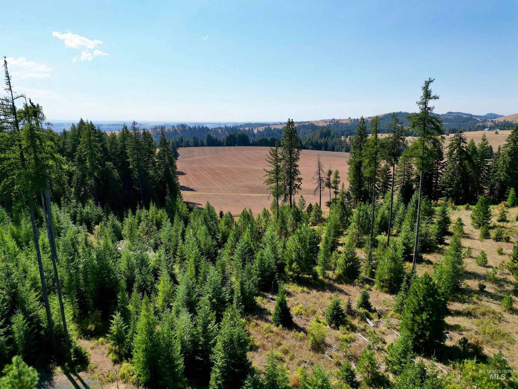 11 Acres of Land for Sale in Kamiah, Idaho