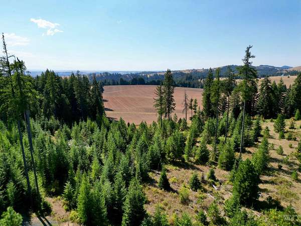 11 Acres of Land for Sale in Kamiah, Idaho