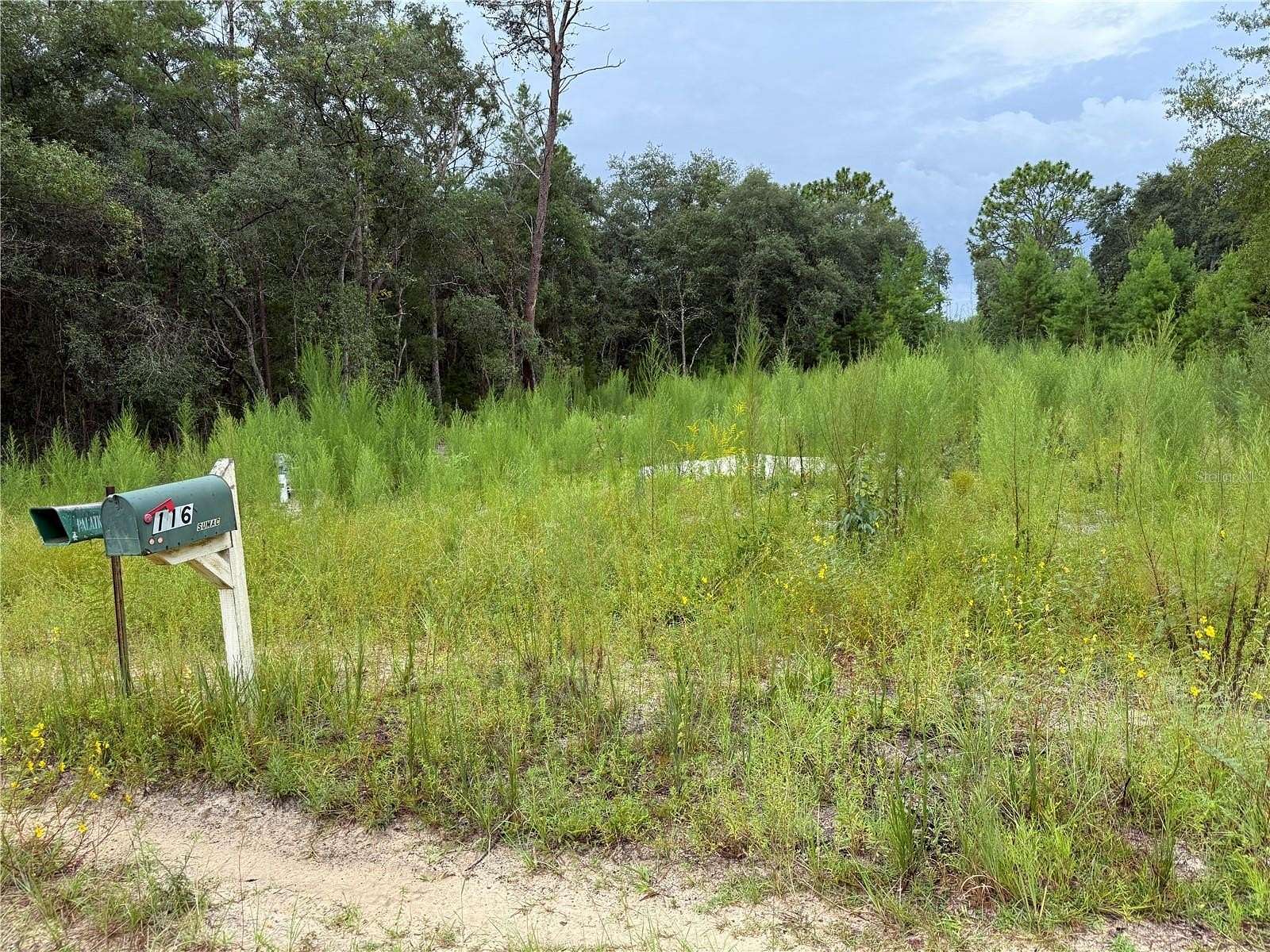 0.23 Acres of Residential Land for Sale in Interlachen, Florida