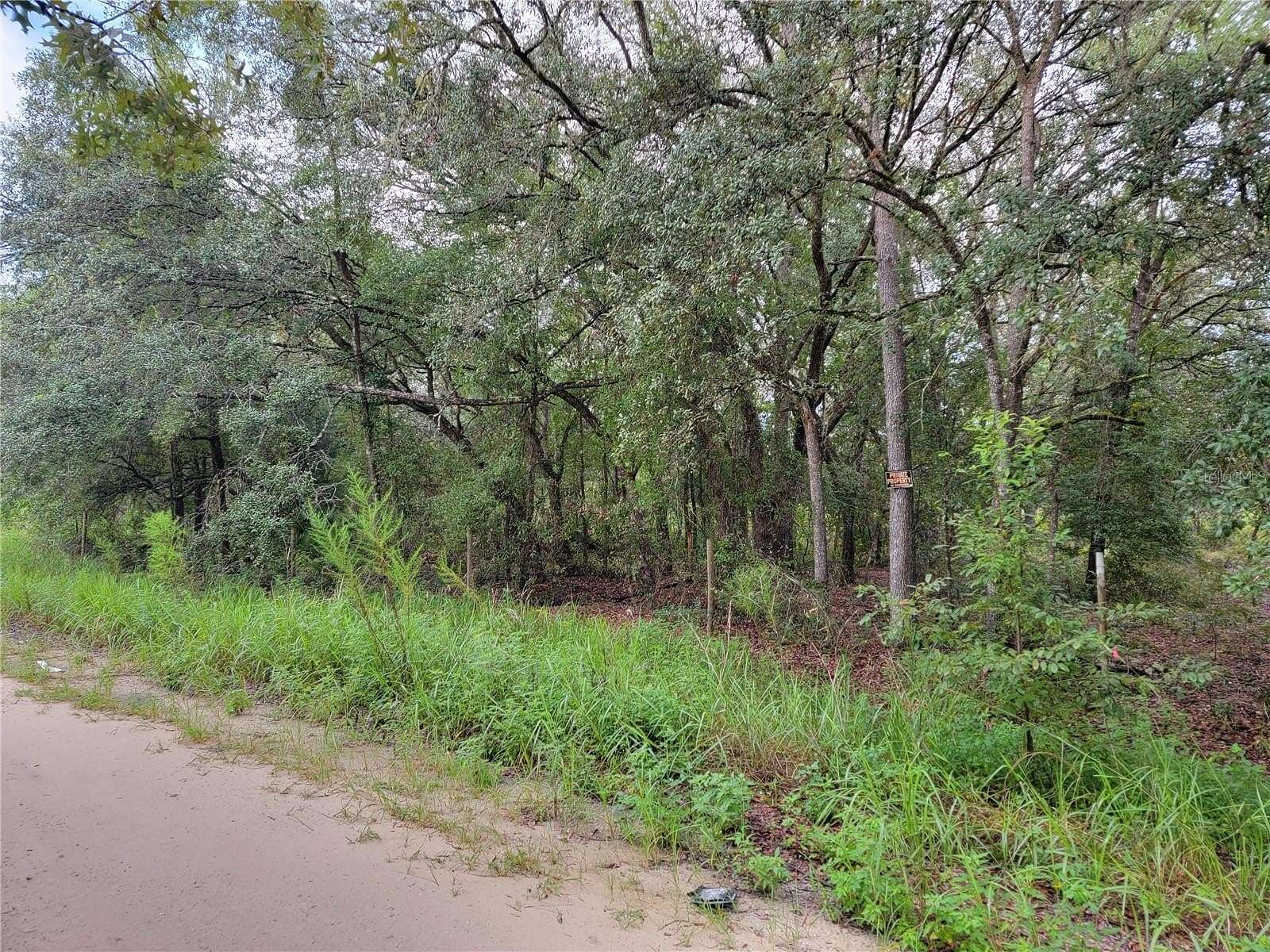 1.25 Acres of Land for Sale in Bronson, Florida