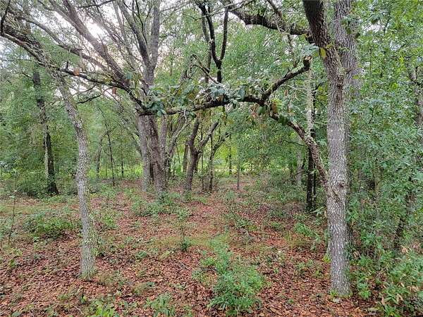 1.25 Acres of Land for Sale in Bronson, Florida